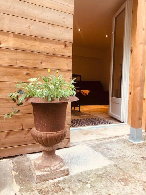 Bienvenue « A L'Ombre Du Figuier » Appartement Pieusse Buitenkant foto